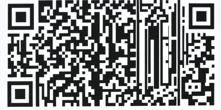 QR Code Age Demographics