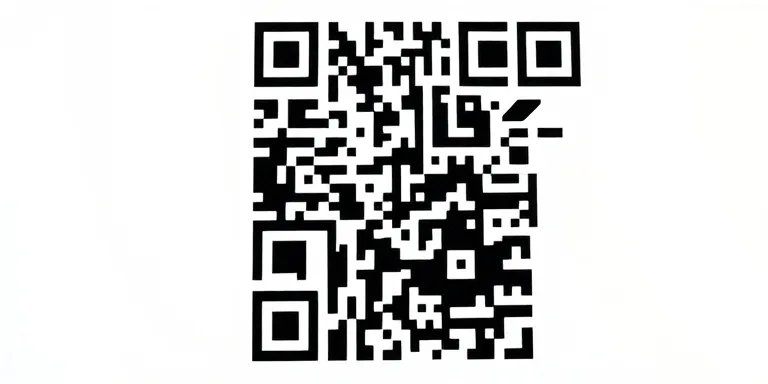 QR Code Design Principles