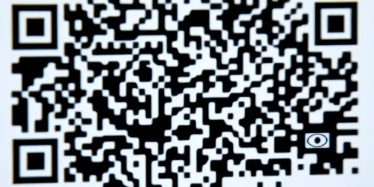 QR Code Biometrics